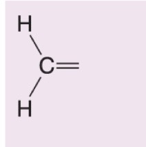 <p>What happens when hydrogen peroxide and water (H<sub>2</sub>O<sub>2</sub>/H<sub>2</sub>O) are added to this alkene during ozonolysis?</p>