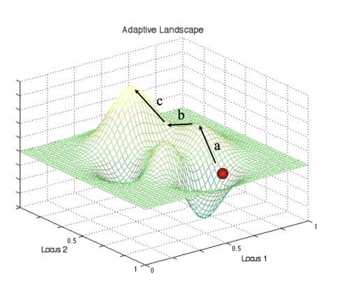 <p>What forces are depicted here, in order (a, b, c)?</p>