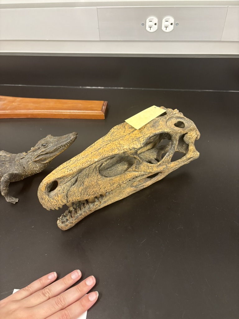 <p>What is this?</p>