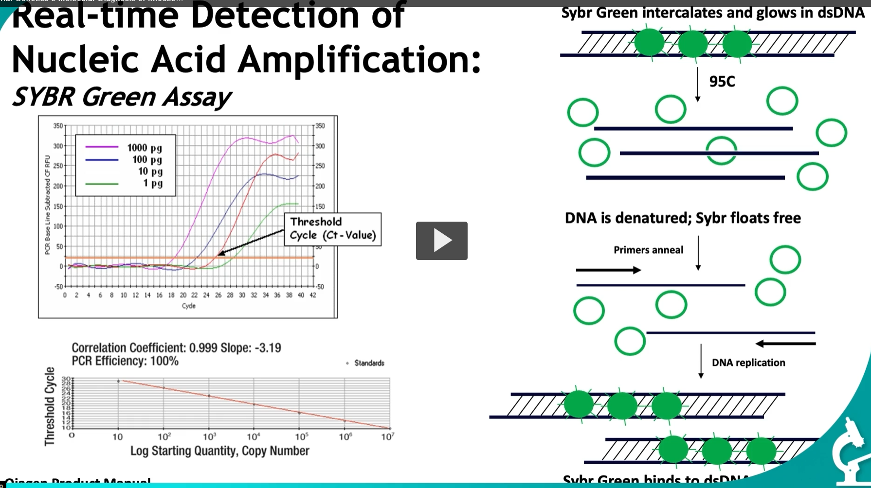 <p>This slide explains <strong>how real-time PCR (qPCR) works using SYBR Green</strong> and how we <strong>quantify DNA using Ct values</strong>. This is a <strong>very high-yield concept</strong>.</p><div data-type="horizontalRule"><hr></div><p><span data-name="dna" data-type="emoji">🧬</span> Big Idea</p><figure data-type="blockquoteFigure"><div><blockquote><p><strong>SYBR Green glows when bound to double-stranded DNA → more DNA = more fluorescence → measure it each cycle to quantify starting material.</strong></p></blockquote><figcaption></figcaption></div></figure><div data-type="horizontalRule"><hr></div><p><span data-name="microscope" data-type="emoji">🔬</span> PART 1: What SYBR Green does <span data-name="test_tube" data-type="emoji">🧪</span> Key property:</p><ul><li><p><strong>SYBR Green binds (intercalates) into double-stranded DNA (dsDNA)</strong></p></li><li><p>When bound → <strong>fluoresces (glows)</strong></p></li><li><p>When not bound → <strong>no signal</strong></p></li></ul><div data-type="horizontalRule"><hr></div><p><span data-name="repeat" data-type="emoji">🔁</span> What happens during each PCR cycle <span data-name="fire" data-type="emoji">🔥</span> 1. Denaturation (95°C)</p><ul><li><p>DNA strands separate → <strong>single-stranded DNA</strong></p></li><li><p>SYBR Green <strong>falls off</strong></p></li></ul><p><span data-name="point_right" data-type="emoji">👉</span> Result:</p><ul><li><p><strong>Low fluorescence</strong></p></li></ul><div data-type="horizontalRule"><hr></div><p><span data-name="dna" data-type="emoji">🧬</span> 2. Annealing</p><ul><li><p>Primers bind to DNA</p></li></ul><div data-type="horizontalRule"><hr></div><p><span data-name="gear" data-type="emoji">⚙</span> 3. Extension (replication)</p><ul><li><p>DNA polymerase makes new strands → dsDNA forms again</p></li><li><p>SYBR Green binds again</p></li></ul><p><span data-name="point_right" data-type="emoji">👉</span> Result:</p><ul><li><p><strong>Fluorescence increases</strong></p></li></ul><div data-type="horizontalRule"><hr></div><p><span data-name="repeat" data-type="emoji">🔁</span> Each cycle:</p><ul><li><p>More DNA → more SYBR binding → more fluorescence</p></li></ul><div data-type="horizontalRule"><hr></div><p><span data-name="bar_chart" data-type="emoji">📊</span> PART 2: The amplification curve</p><p>The graph shows:</p><ul><li><p>X-axis = <strong>cycle number</strong></p></li><li><p>Y-axis = <strong>fluorescence</strong></p></li></ul><p>Each line = different starting amount:</p><ul><li><p>1000 pg → highest</p></li><li><p>1 pg → lowest</p></li></ul><div data-type="horizontalRule"><hr></div><p><span data-name="brain" data-type="emoji">🧠</span> Key observation</p><figure data-type="blockquoteFigure"><div><blockquote><p><strong>More starting DNA → curve rises earlier</strong></p></blockquote><figcaption></figcaption></div></figure><div data-type="horizontalRule"><hr></div><p><span data-name="round_pushpin" data-type="emoji">📍</span> Ct value (MOST IMPORTANT)</p><figure data-type="blockquoteFigure"><div><blockquote><p><strong>Ct (threshold cycle) = cycle where fluorescence crosses a set threshold</strong></p></blockquote><figcaption></figcaption></div></figure><div data-type="horizontalRule"><hr></div><p>Interpretation:</p><table style="min-width: 50px;"><colgroup><col style="min-width: 25px;"><col style="min-width: 25px;"></colgroup><tbody><tr><th colspan="1" rowspan="1"><p>Starting DNA</p></th><th colspan="1" rowspan="1"><p>Ct value</p></th></tr><tr><td colspan="1" rowspan="1"><p>High (1000 pg)</p></td><td colspan="1" rowspan="1"><p>Low Ct (early detection)</p></td></tr><tr><td colspan="1" rowspan="1"><p>Low (1 pg)</p></td><td colspan="1" rowspan="1"><p>High Ct (late detection)</p></td></tr></tbody></table><p><span data-name="point_right" data-type="emoji">👉</span> Inverse relationship:</p><figure data-type="blockquoteFigure"><div><blockquote><p><strong>Ct ↓ = more starting DNA</strong><br><strong>Ct ↑ = less starting DNA</strong></p></blockquote><figcaption></figcaption></div></figure><div data-type="horizontalRule"><hr></div><p><span data-name="chart_increasing" data-type="emoji">📈</span> PART 3: Standard curve (bottom graph)</p><ul><li><p>X-axis = <strong>log starting quantity</strong></p></li><li><p>Y-axis = <strong>Ct</strong></p></li></ul><p><span data-name="point_right" data-type="emoji">👉</span> Straight line relationship:</p><ul><li><p>Used to <strong>calculate unknown samples</strong></p></li></ul><div data-type="horizontalRule"><hr></div><p>Values on slide:</p><ul><li><p><strong>Correlation coefficient: 0.999 → very accurate</strong></p></li><li><p><strong>Slope: -3.19 → ideal PCR efficiency</strong></p></li><li><p><strong>PCR efficiency: ~100%</strong></p></li></ul><p><span data-name="point_right" data-type="emoji">👉</span> Meaning:</p><figure data-type="blockquoteFigure"><div><blockquote><p>DNA is doubling perfectly each cycle</p></blockquote><figcaption></figcaption></div></figure><div data-type="horizontalRule"><hr></div><p><span data-name="brain" data-type="emoji">🧠</span> Why this matters</p><p>This allows:</p><ul><li><p><strong>Quantification of DNA/RNA</strong></p></li><li><p>Viral load measurement</p></li><li><p>Gene expression analysis</p></li></ul><div data-type="horizontalRule"><hr></div><p><span data-name="fire" data-type="emoji">🔥</span> High-yield summary</p><figure data-type="blockquoteFigure"><div><blockquote><p>SYBR Green qPCR detects DNA amplification in real time by fluorescing when bound to double-stranded DNA, and Ct values are used to determine the initial amount of nucleic acid.</p></blockquote><figcaption></figcaption></div></figure><div data-type="horizontalRule"><hr></div><p><span data-name="brain" data-type="emoji">🧠</span> Simple mental model</p><ul><li><p>DNA doubles → fluorescence doubles</p></li><li><p>Machine tracks glow → determines how much you started with</p></li></ul><div data-type="horizontalRule"><hr></div><p><span data-name="warning" data-type="emoji">⚠</span> Important limitation (exam tip)</p><ul><li><p>SYBR Green binds <strong>ANY dsDNA</strong><br>→ includes <strong>non-specific products</strong><br>→ less specific than probe-based methods</p></li></ul><div data-type="horizontalRule"><hr></div><p>Ultimate takeaway</p><figure data-type="blockquoteFigure"><div><blockquote><p><strong>The earlier the signal appears (lower Ct), the more target DNA was present initially.</strong></p></blockquote><figcaption></figcaption></div></figure><p></p>