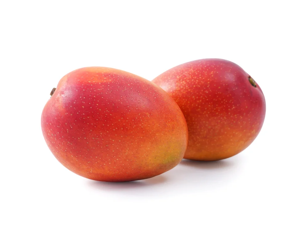 <p><span>Apple Mango</span></p>