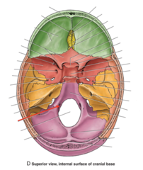 <p>What is the red arrow pointing to?</p>