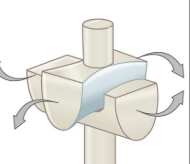 <p>what kind of joint is this</p><p></p>