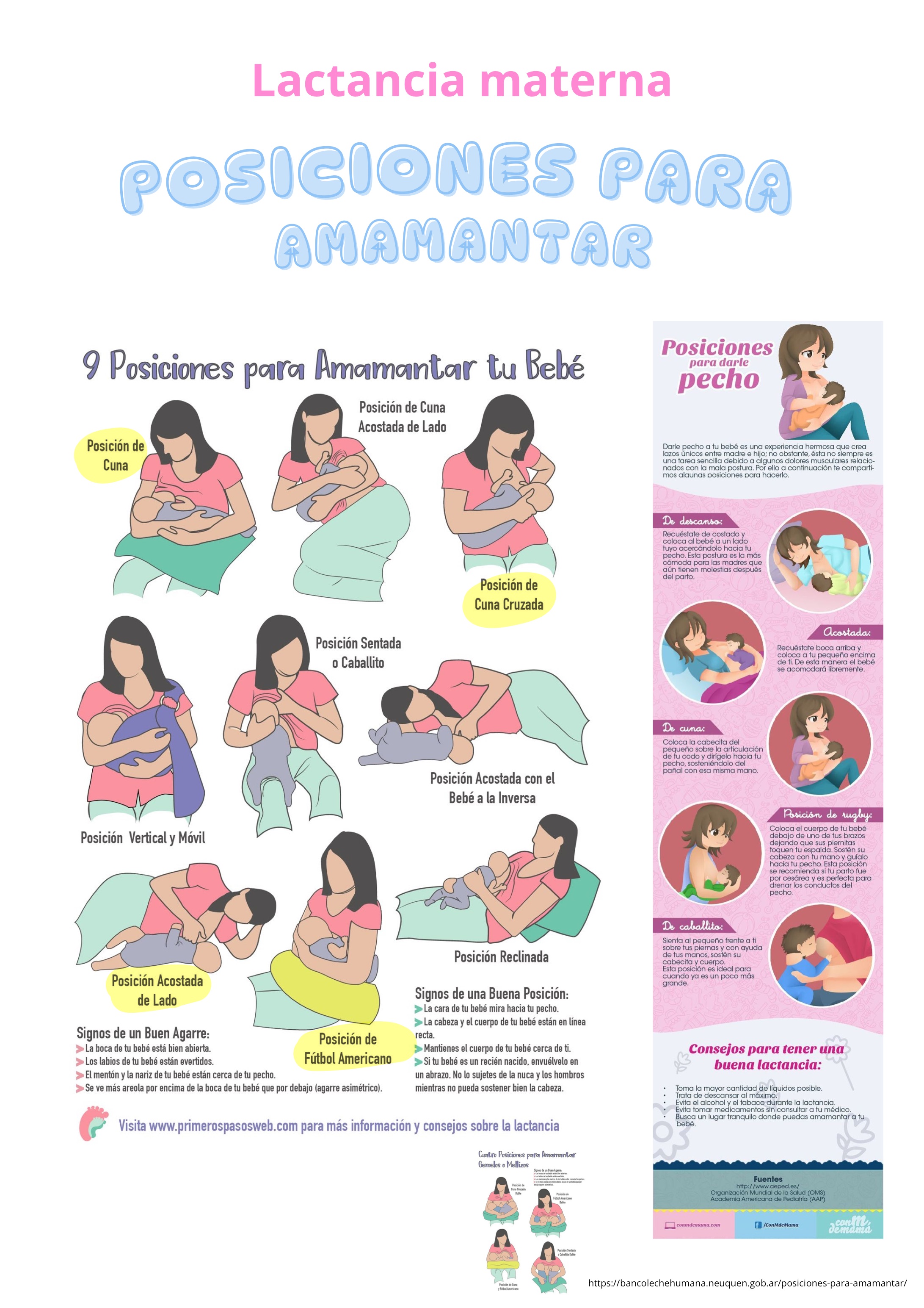 <p><span><span>Las más conocidas:</span></span></p><p></p><p><span data-name="check_mark_button" data-type="emoji">✅</span><span><span> Cuna.</span></span></p><p></p><p><span data-name="check_mark_button" data-type="emoji">✅</span><span><span> Cuna cruzada.</span></span></p><p></p><p><span data-name="check_mark_button" data-type="emoji">✅</span><span><span> Balón de fútbol americano.</span></span></p><p></p><p><span data-name="check_mark_button" data-type="emoji">✅</span><span><span> Decúbito lateral.</span></span></p>