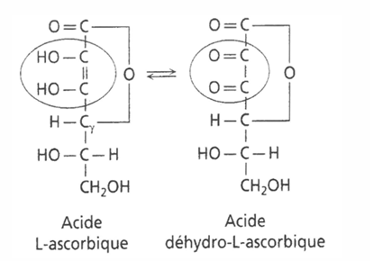 <p><span style="font-family: Calibri, "sans-serif"; line-height: 115%;">c’est de la vitamine C, effet réducteur, <strong>antioxydant</strong> très puissant qu’on va trouver dans la nourriture&nbsp;: végétaux frais, un déficit donne le scorbut. Très soluble</span></p>