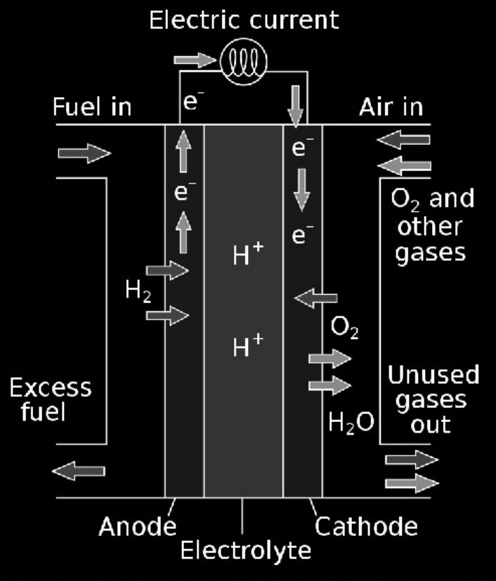 <ol><li><p>hydrogen is fed to anode, and air is fed to cathode</p></li><li><p>at anode H<sub>2</sub> gas breaks down to H<sup>+</sup> and e<sup>-</sup> </p></li><li><p>H<sup>+</sup> travels to cathode via electrolyte and e<sup>-</sup> travels to cathode via external circuit</p></li><li><p>at cathode, H<sup>+</sup> and e<sup>-</sup> combine with oxygen to produce water and heat</p></li></ol><p></p>