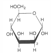 <p>nom de la molécules</p><p>caractéristiques,</p>