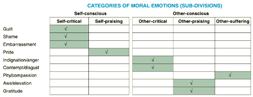 <p>Emotions from comparing behavior to a norm/standard</p><ul><li><p class="MsoListParagraphCxSpFirst">Guilt (self-focused)</p></li><li><p class="MsoListParagraphCxSpFirst">Anger (other-focused)</p></li><li><p class="MsoListParagraphCxSpFirst">Moral disgust (character judgment)</p></li></ul><p></p>