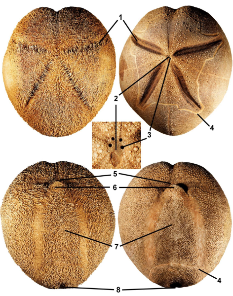 <p>class</p><p>label</p>