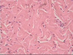 <p>What does this image show?</p>