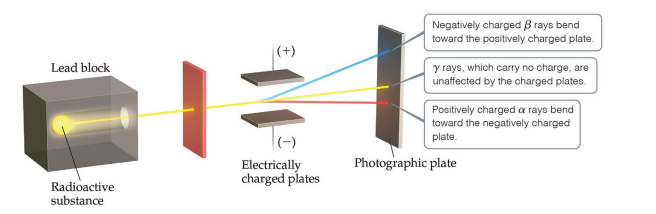 <p></p><p>a = particles (positively charged)</p><p>B = particles (negatively charged, like electrons)</p><p>Y = rays (uncharged</p>