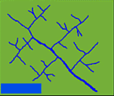 <p>what is this drainage pattern</p>