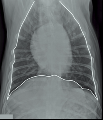 <p>What structure is outline here?</p>