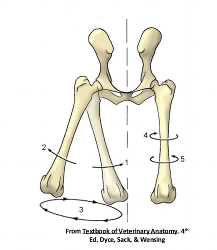 <p>Which movement is pictured in 1?</p>