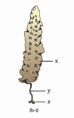 <p></p>