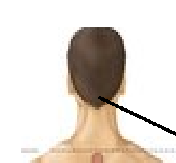 <p>head</p>