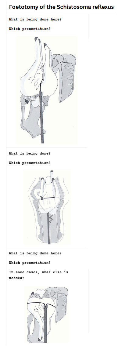 <p>.</p>