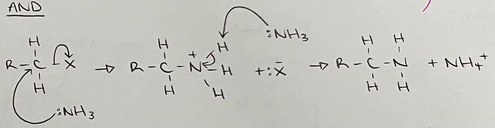 <p>Mechanism: Nucleophilic substitution.</p><p>Reagents: Ammonia.</p><p>Conditions: Excess ammonia/NH3, hot, ethanolic.</p>