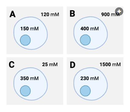 <p>Which cell will experience the greatest net diffusion of water from inside to outside?</p><p><br>a. Cell A<br>b. Cell B<br>c. Cell C<br>d. Cell D</p>