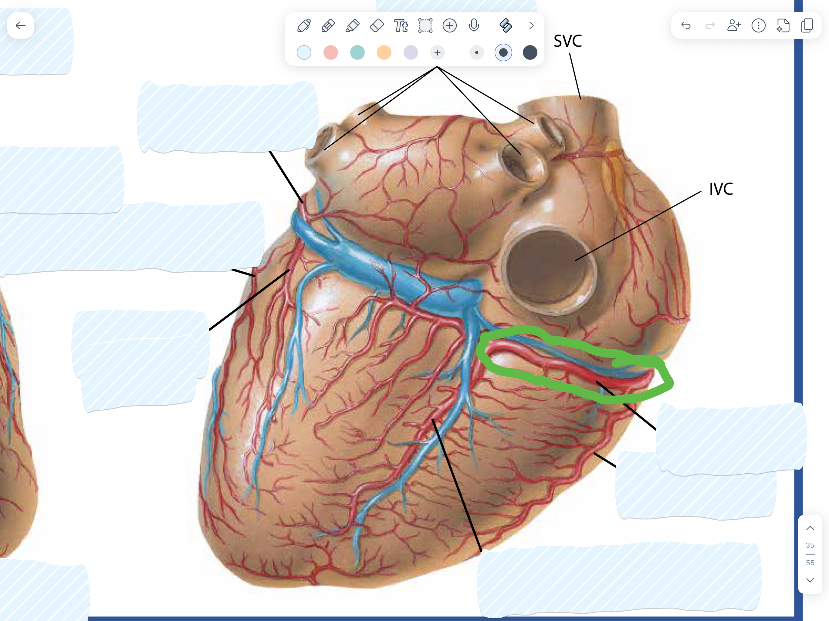 knowt flashcard image