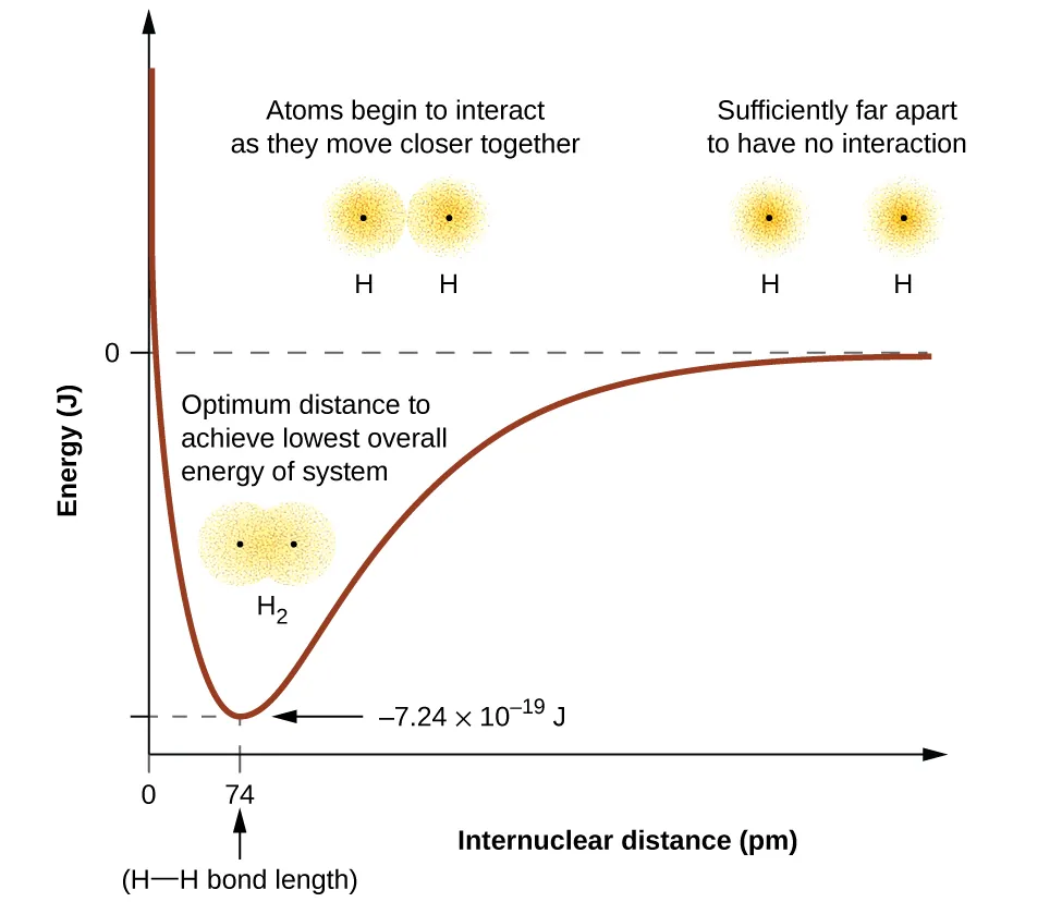 <p><span>Which of the following statements about covalent bond formation is correct?</span></p><p><br><span>A. Bond length is irrelevant to the stability of the molecule.</span><br><span>B. Atoms are most stable when their nuclei are as close together as possible.</span><br><span>C. The bond length corresponds to the distance where the energy of the system is lowest.</span><br><span>D. All covalent bonds have the same bond length, regardless of the atoms involved.</span></p>