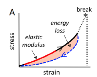 <p>Stress-Strain Curve</p>