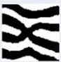 <p>A minutia defined by two bifurcations directed away from each other; the distance between the two bifurcations is less than 5x the average width of the ridges</p>