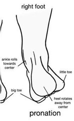 <p>Eversion, dorsiflexion, and abduction combined.</p>