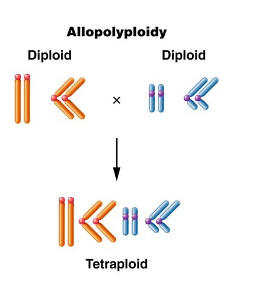 <p>Between different but related species.</p>