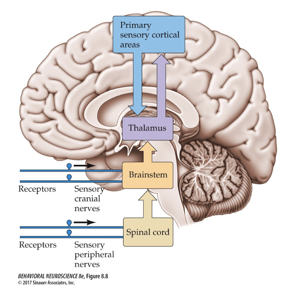 <p>What can you see here?</p>
