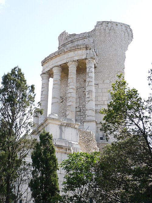 term image