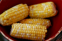 <p>corn</p>