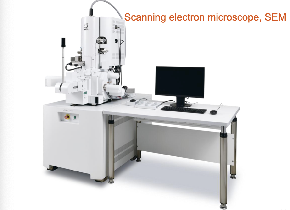<ul><li><p>3-D image</p></li><li><p>Uses electrons to view surface structures</p></li><li><p>High magnification, no live specimens</p></li></ul><p></p><p></p>