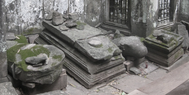 term image