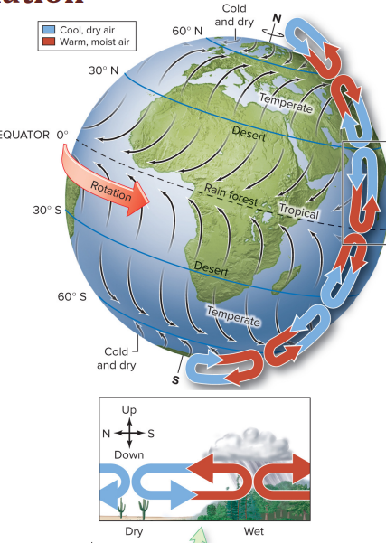 <p>How atmospheric circulation works </p>