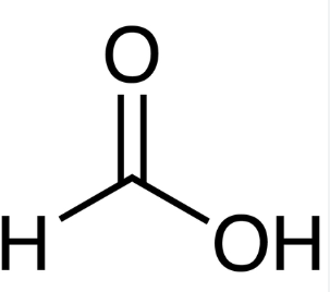 <p></p>