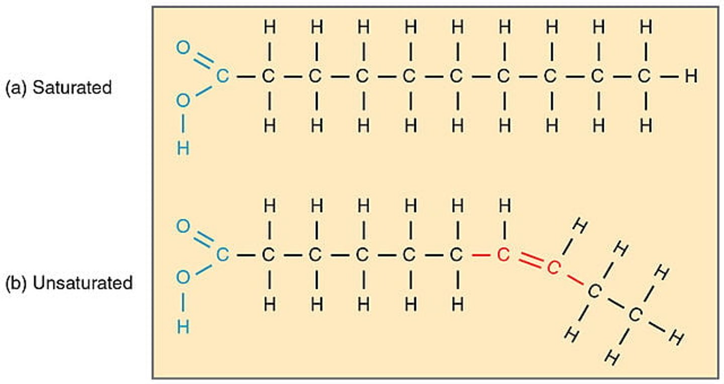 <p>A fat that is liquid at room temperature and found in vegetable oils, nuts, and seeds.</p>