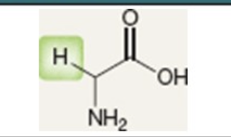 <p>What is this?</p>