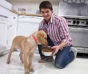 <p>dar de comer al perro</p>