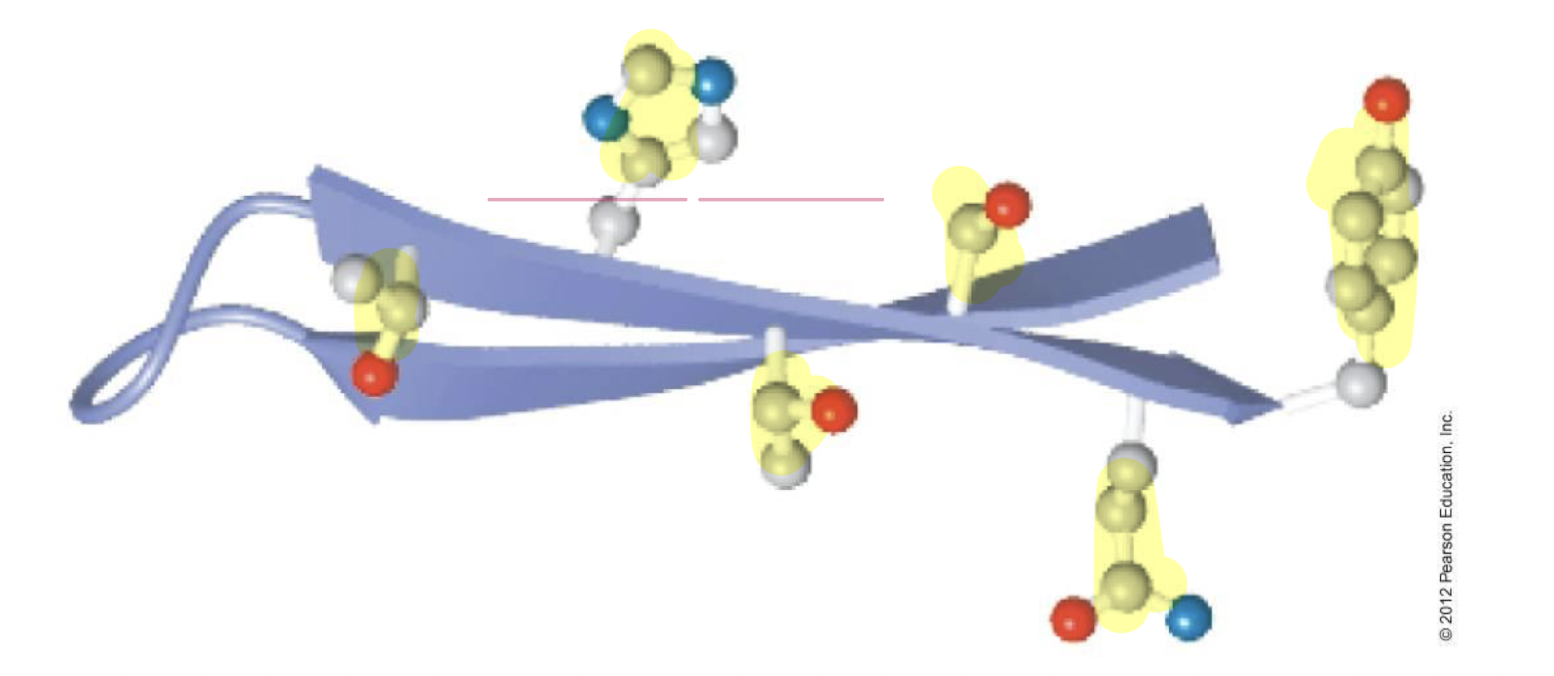 <p>Above and below the plane of the sheet if bulky and branched</p>