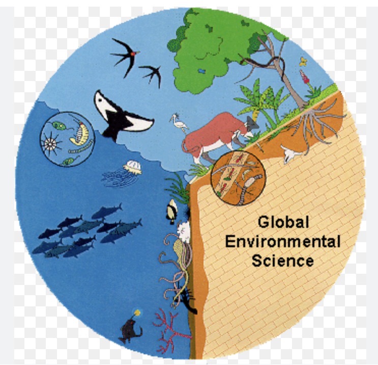 <p>Environment</p>