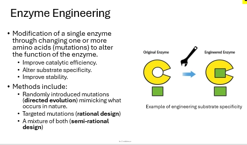<p>(modify?)</p><ul><li><p>via Enzyme Engineering! to change the AAs in a genetic sequence, to modify the protein it encodes for, in a meaningful way that benefits our problem</p></li><li><p>introducing mutations, but specific to what we want it to do</p></li><li><p>eg improve catalysis efficiency (make a less efficient enzyme more efficient)</p></li><li><p>eg change specificity to substrate (eg if we want it to favor one rxn pathway more for efficiency or to reduce another process, if we want to introduce a new rxn pathway)</p></li><li><p>eg increase stability (increase efficiency, amount carried out in cell)</p></li></ul><p>(3 methods)</p><ul><li><p>directed evolution - randomly introduce mutations, mimicing what occurs in nature (hence the evolution term. directing evo.)</p></li><li><p>rational design - targetted mutations, designing the enzyme structure to be specific for the purpose, requiring specific mutations to achieve</p></li><li><p>semi rational design - a combination of the two. </p></li></ul><p></p>