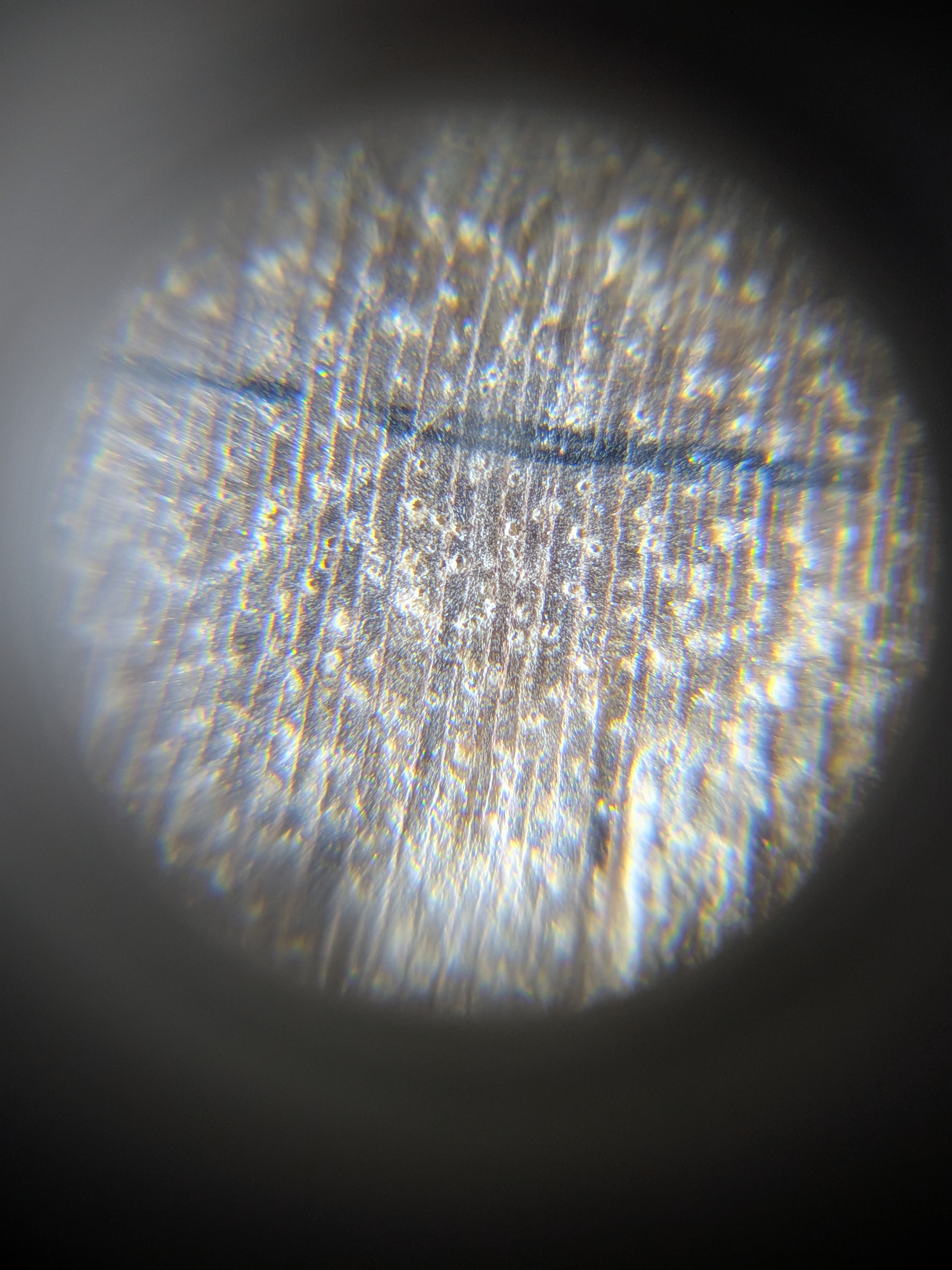 term image