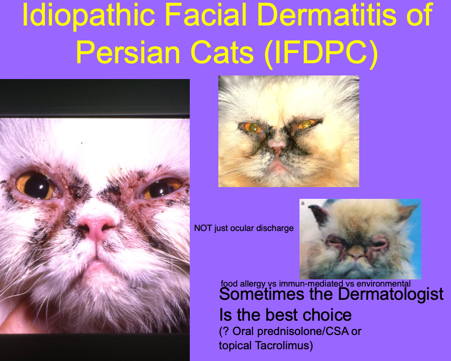 <p>Send to the dermatologist.</p><p>consider PO pred or topical tacrolimus.</p>