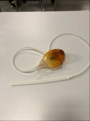 <p>What is the&nbsp;<strong>purpose</strong>&nbsp;of the object?</p>