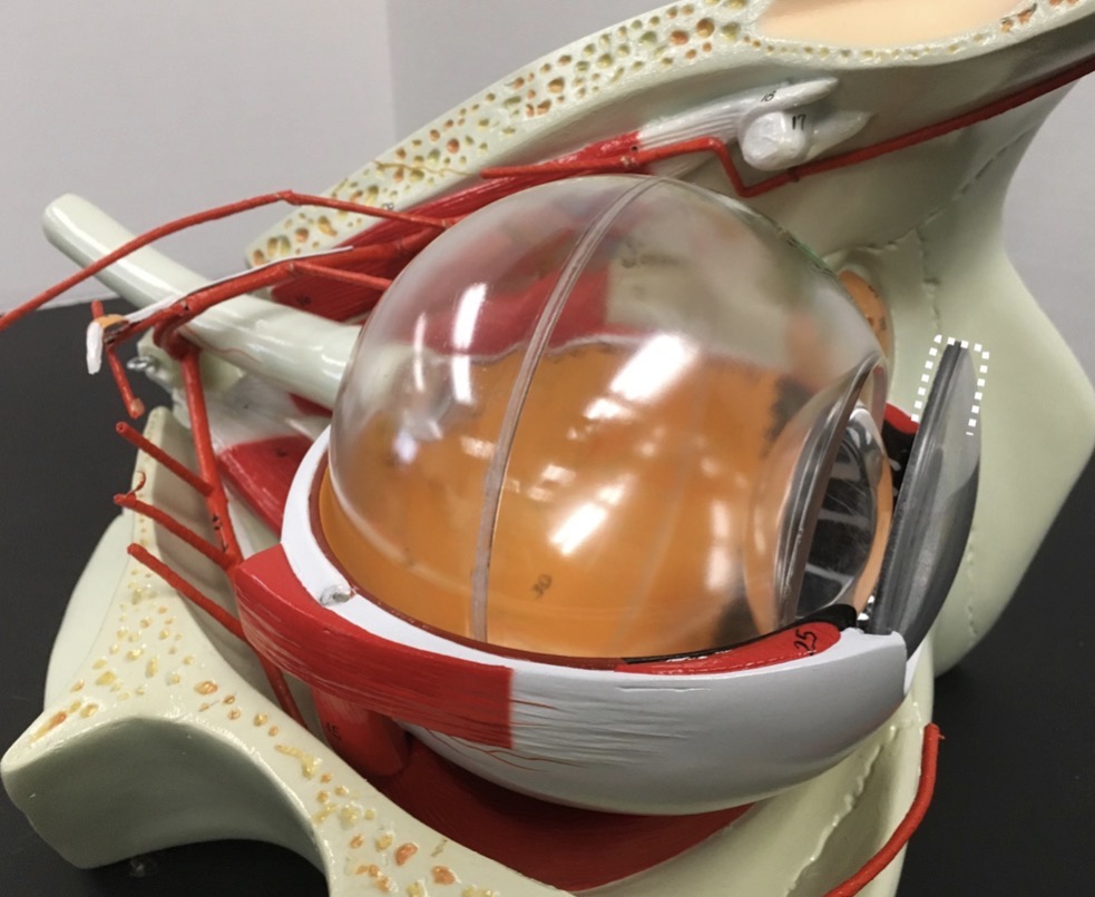 <p><span>name the SPACE indicated</span></p>