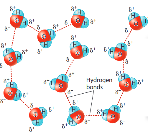 <p>The weak attraction of a hydrogen atom with another atom through polar charges</p>