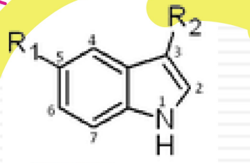 <p>what drug class is this? </p>