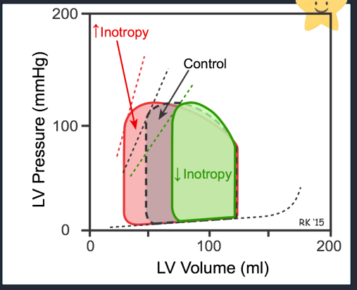 <ul><li><p>inotropy: Inotropy is essentially the exact same thing as myocardial contractility. It refers to the intrinsic, built-in ability of the heart muscle (the myocardium) to contract and generate force</p></li></ul><p><span style="background-color: transparent; font-family: "Times New Roman", serif;"><strong>3. Contractility/Inotropy (The "Squeeze"):</strong></span></p><ul><li><p><span style="background-color: transparent; font-family: "Times New Roman", serif;"><strong>Definition:</strong> The intrinsic strength of the muscle, independent of stretch.</span></p></li><li><p><span style="background-color: transparent; font-family: "Times New Roman", serif;"><strong>Effect:</strong> <strong>Increasing contractility increases SV</strong>. It allows the heart to squeeze down to a smaller volume left inside after (lower ESV)</span></p></li><li><p><span style="background-color: transparent; font-family: "Times New Roman", serif;"><strong>PV Loop:</strong> The loop widens to the <strong>left</strong> (lower ESV).</span></p></li></ul><p></p>