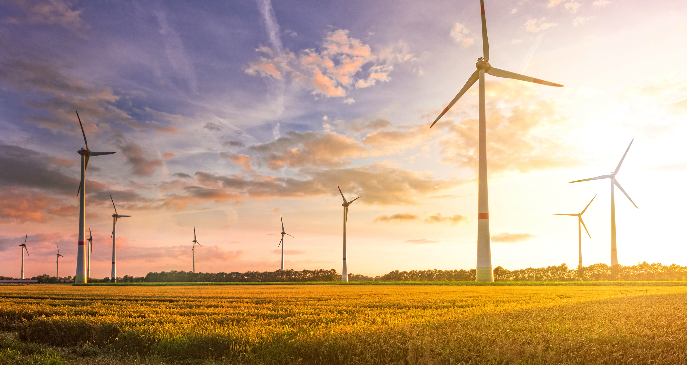 <p>Wind Turbines</p>